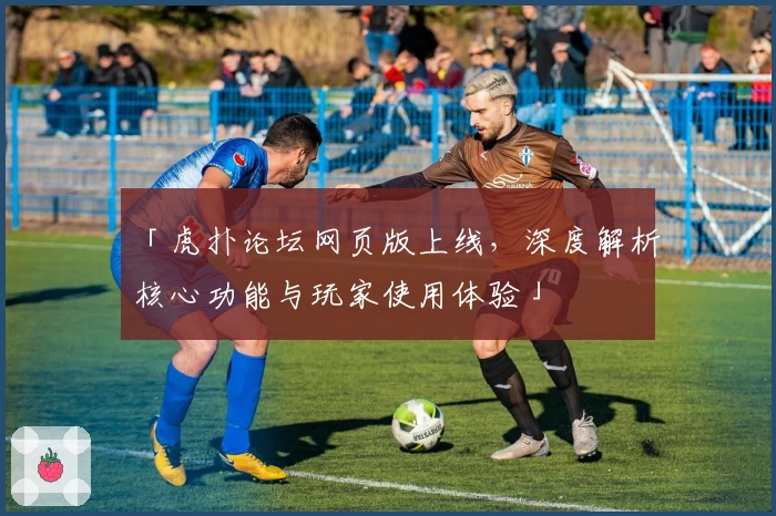 「虎扑论坛网页版上线，深度解析核心功能与玩家使用体验」