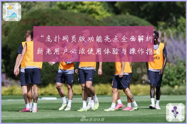 “虎扑网页版功能亮点全面解析，新老用户必读使用体验与操作指南”